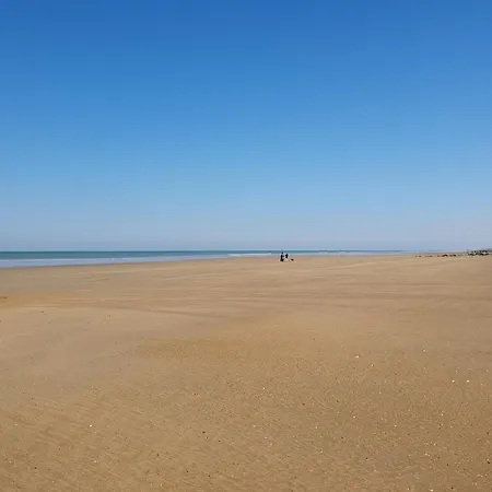 Appartamento Les Galées Avec Terrasse à 100m Des Mouettes *