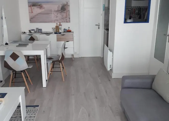 Les Galees Avec Terrasse A 100m Des Mouettes *