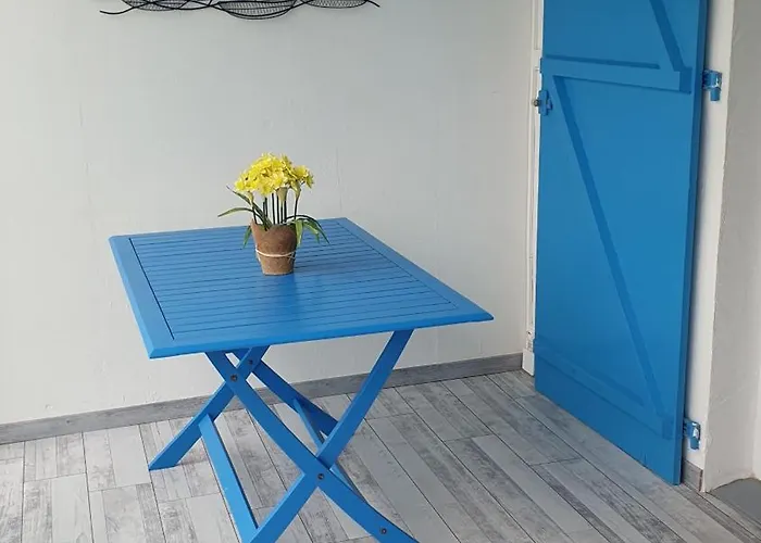 Les Galees Avec Terrasse A 100m Des Mouettes شقة *